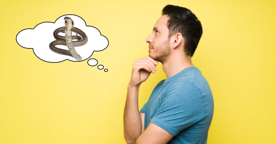Khi thấy rắn trong giấc mơ hãy tìm hiểu ý nghĩa tâm linh và cảnh báo